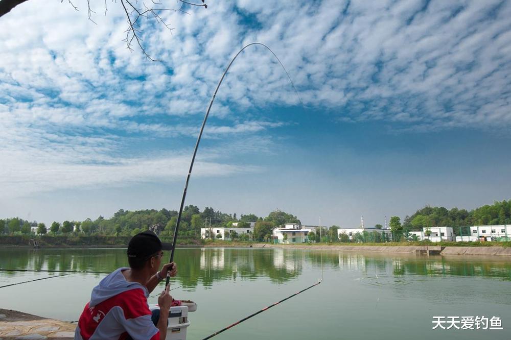 |夏季钓鱼5钓5不钓,天热鱼难钓,套路远比技巧重要