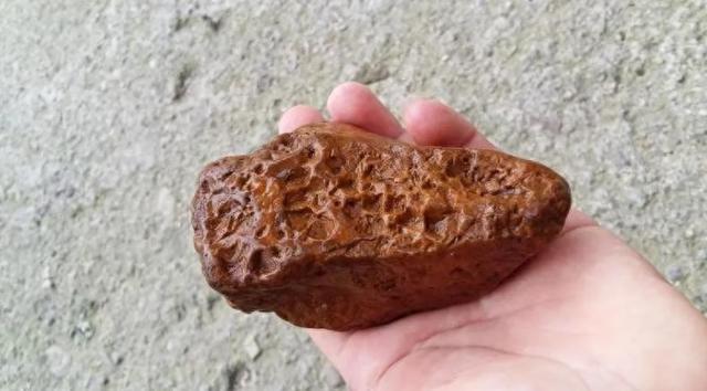 这8种“重口味文玩”,会玩的都是大神,一般人真的无法接受