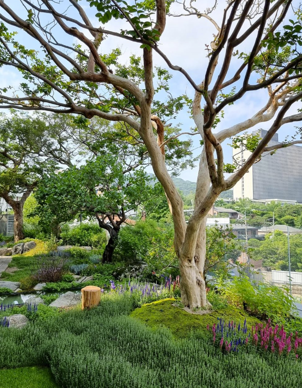 48岁“地表最强小三”,拿下百亿老头却说:我对钱没兴趣