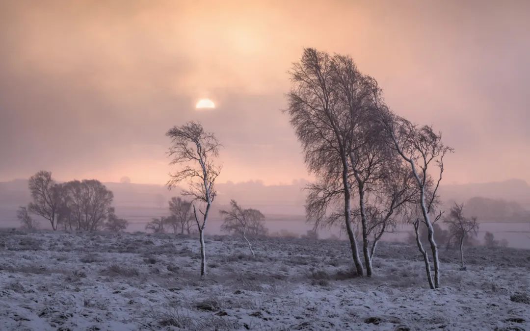 人际关系|6月初,4大星座鸿运当头,紫气东来,名利兼程,财福双收
