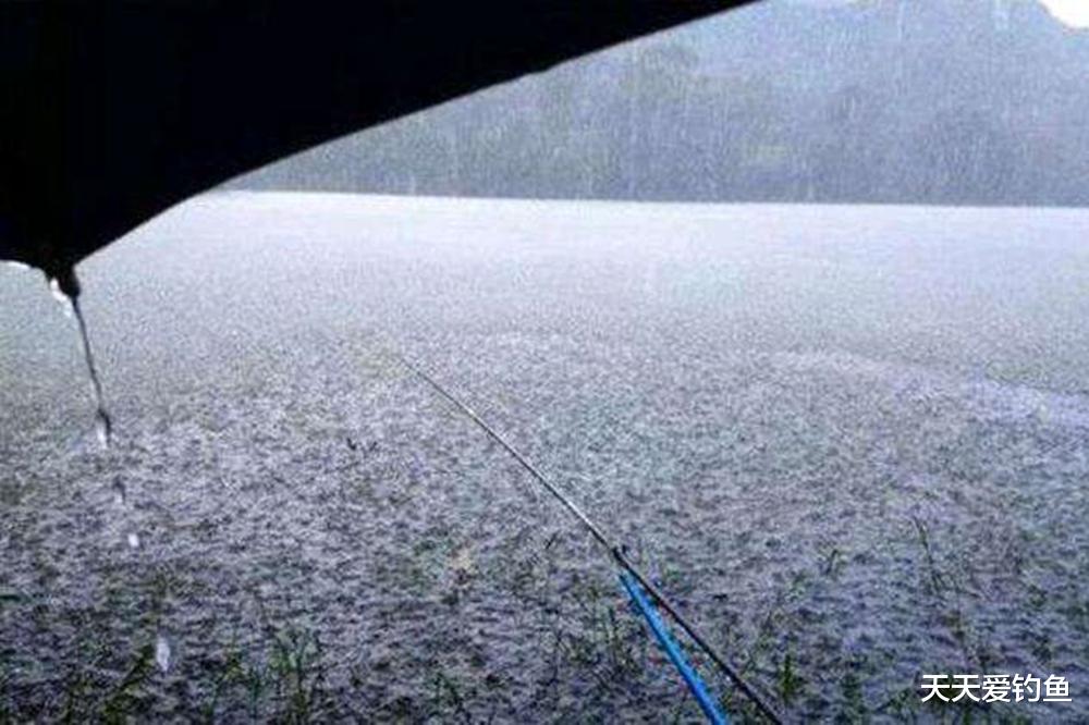 钓鱼|夏季钓鱼时机表,爆护天气有4种,空军天气多达6种