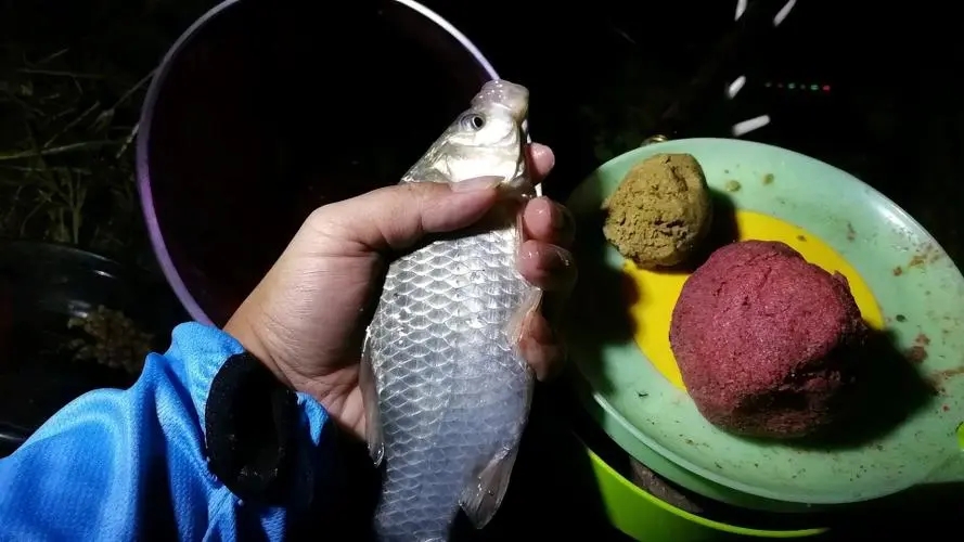 |夏季夜钓，不可错过的5大技巧，助你渔获倍增