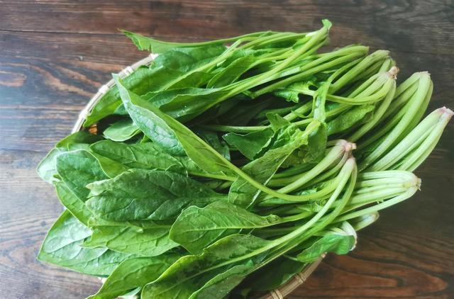 尿酸|83岁院士:养胃“冠军”并非小米,每天坚持吃,胃或变通透