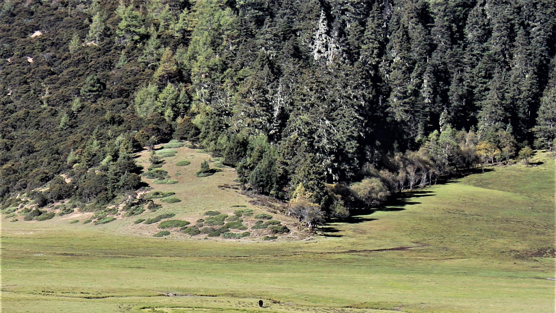 广安|职场人的利益，自己主动捍卫