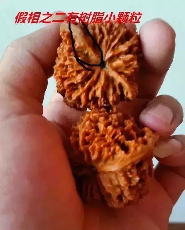 聊聊文玩核桃的黑幕