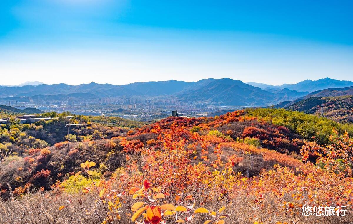 赏秋|秋景将至，中国12个顶尖的红叶观赏地，你选哪一个？