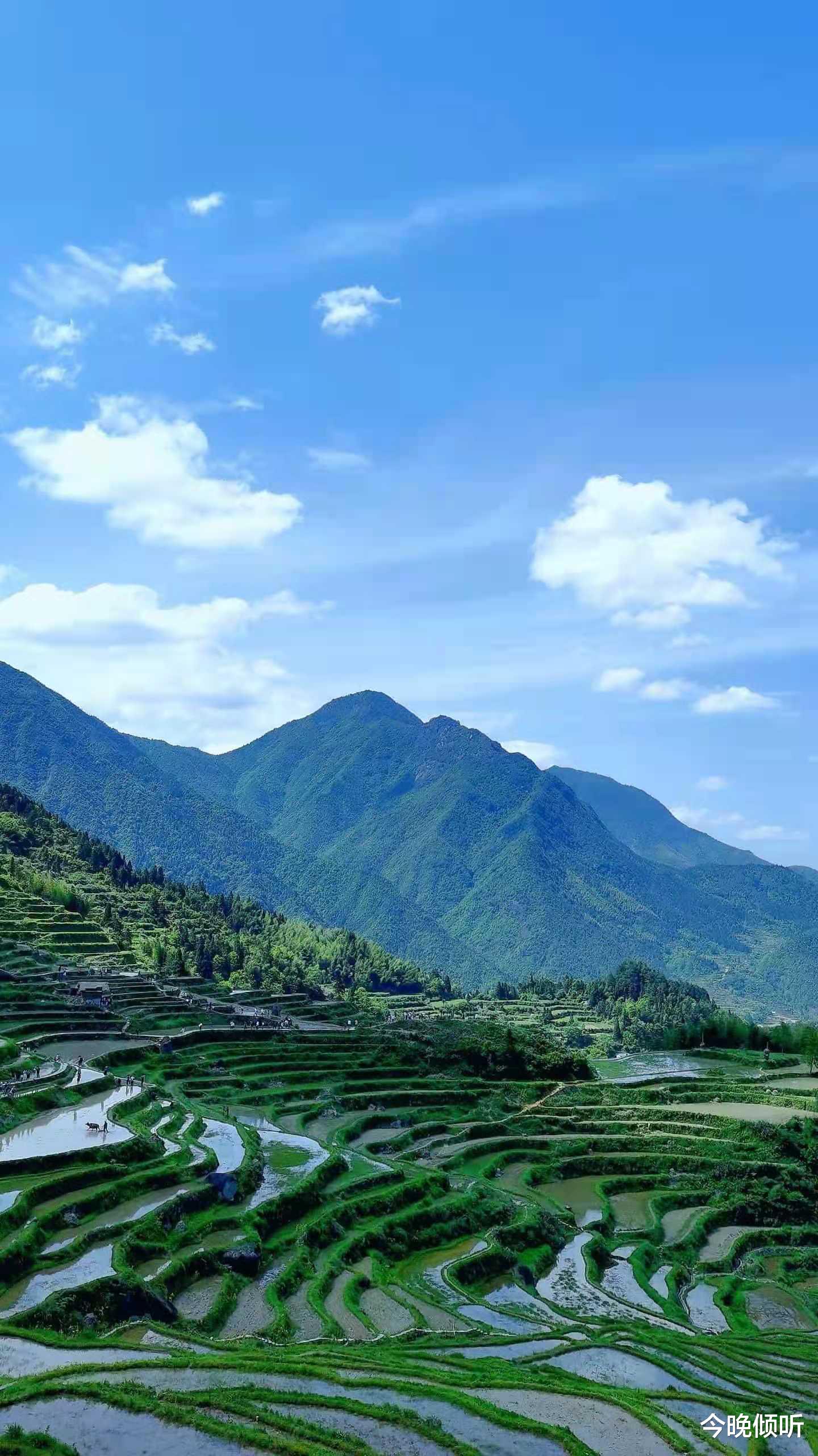 深圳市|深圳中介某招聘现场：90年出生的可以回去了