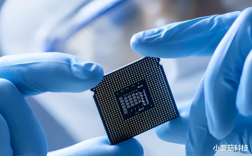 芯片|彻底撕开老美“遮羞布”？美国芯片巨头官宣，外媒：得不偿失！