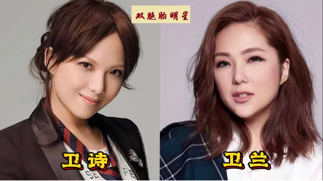 海贼王|17对双胞胎明星, 刘全和刘全利共用一张脸,让人傻傻分不清楚