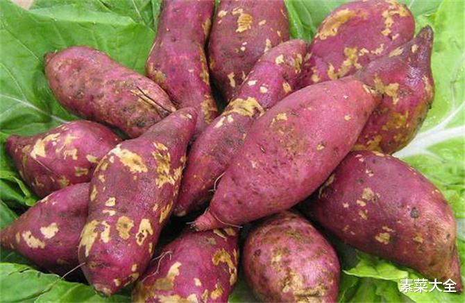 红薯|地瓜和红薯有区别吗？不同品种的红薯到底怎么吃？