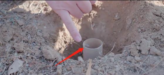 李亚鹏|李亚鹏与妻子当众搂腰太甜蜜,仪式感过头被骂太装:怪不得李嫣烦