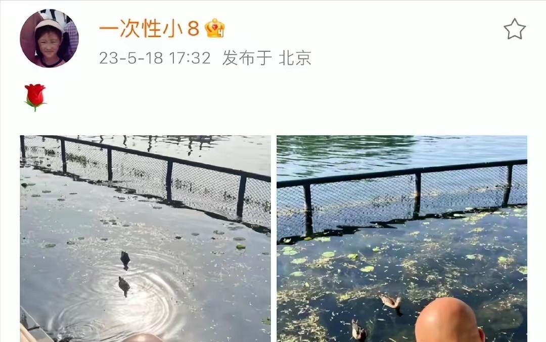 瞒不住了，张碧晨华晨宇和平分手只是假象，果然和许晴有关？