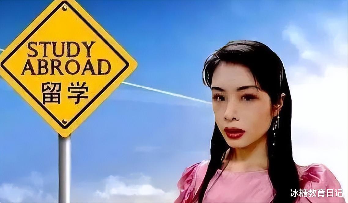 |留学生许可馨再惹争议,曾发文诋毁祖国,如今回国投简历被打脸