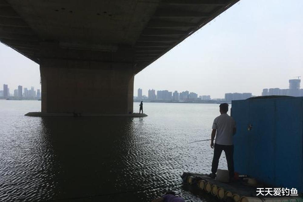 |夏季天热,大鱼在这些地方避暑,找准了位置轻松连竿