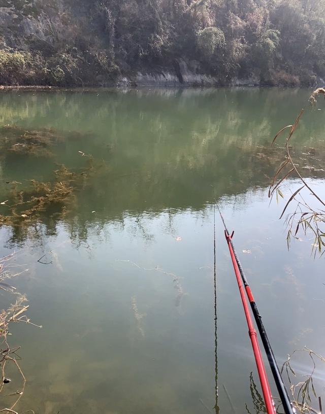 快乐|未雨绸缪做好预判，渔获如期而至