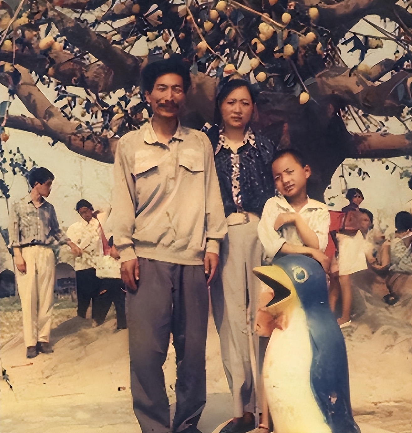 华少|被“好声音”牵连,华少资产被扒,细看身家,这些年钱是真不少赚