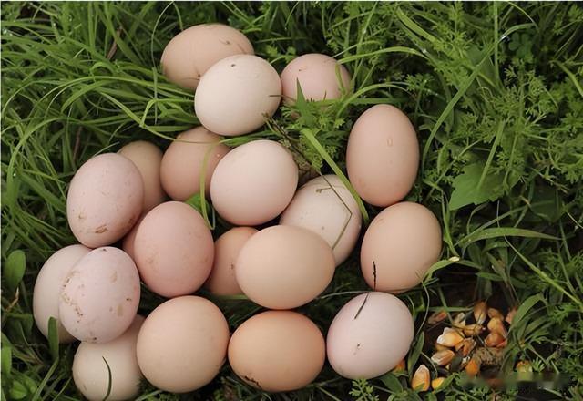 海鲜|逛菜市场时,这6样东西最好别买,基本都是假的,买了就是上当!