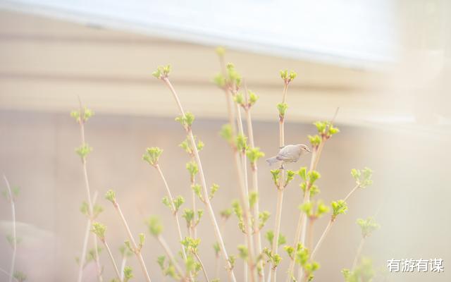 中国电影|不要去讨好每一个人,你是值得被爱的......