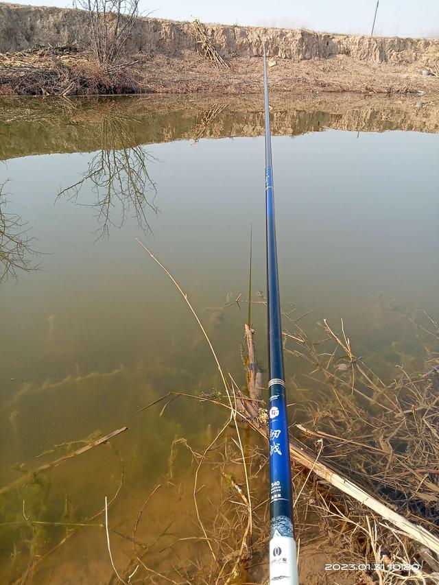 鲫鱼|冬尾冰融探鱼口，个头整壮值得守。