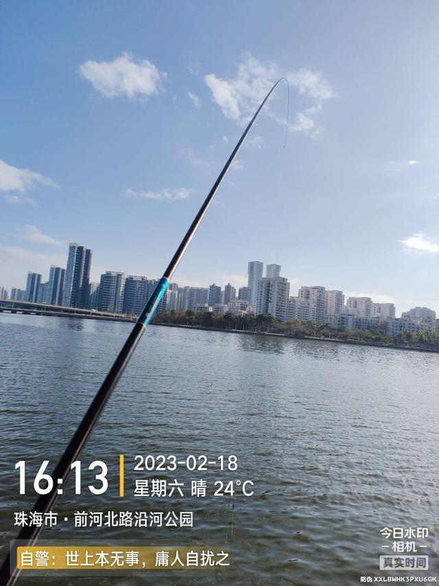 鳊鱼|今天是个好日子,用小钩鱼儿多多上,换大钩连竿大麦鲮