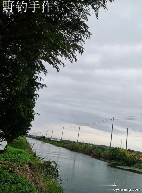 天时地利人和,今晚吃鱼