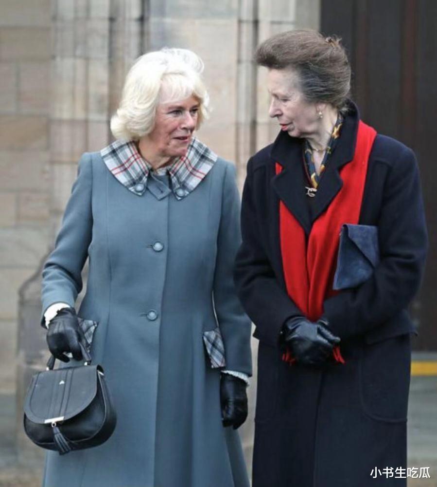 安妮公主|姑嫂争斗18年,安妮公主从不向卡米拉低头,非要戴王冠出席加冕礼