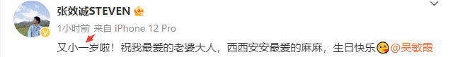 张效诚晒照为妻子庆生，吴敏霞隔空互动秀恩爱，一双子女似足爸爸