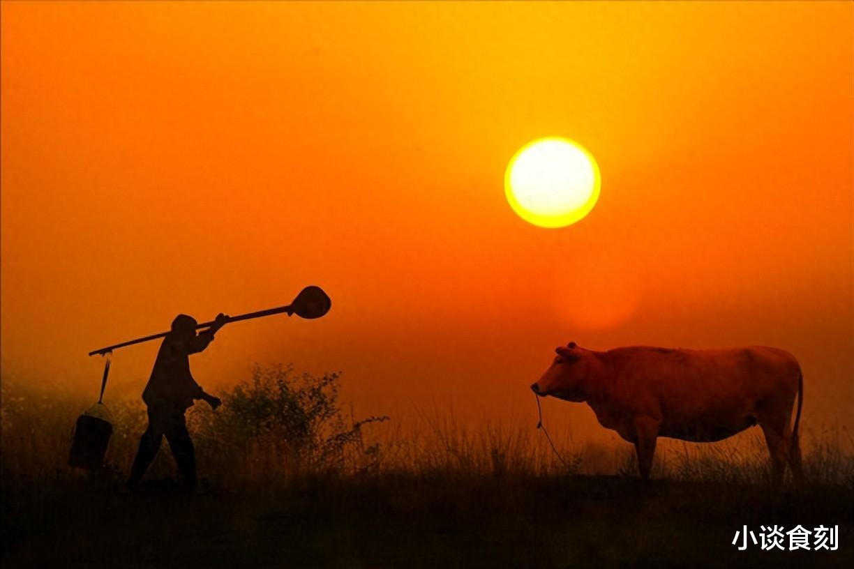 |明日腊月初三，俗语“最怕腊三晴”，晴有啥预兆？看农谚有答案了