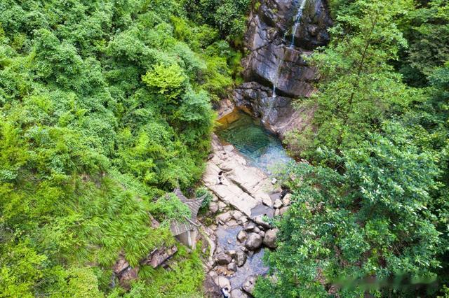 暑期旅游|江浙沪周边游｜森林里的蓝宝石，清凉避暑大奇山