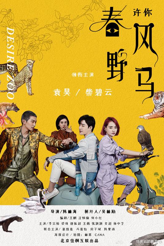 电视剧|《许你春风野马》定档,袁昊柴碧云主演,爆笑职场剧,笑点密集
