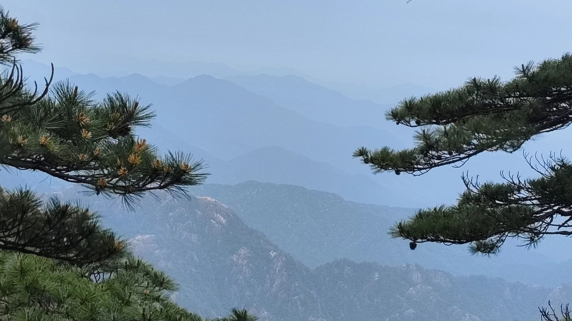 杭州|杭州到黄山，两天一夜，人均1100