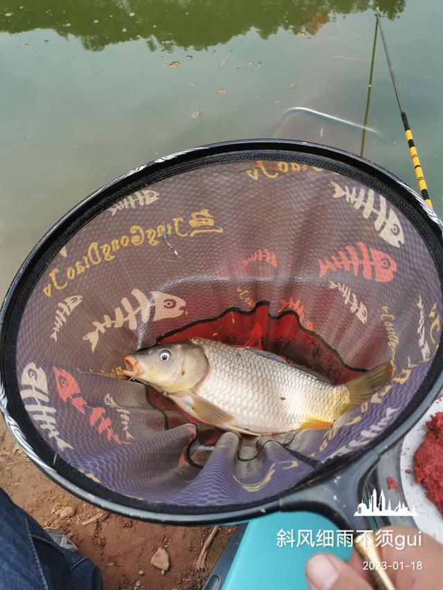 |意外中的意外,耐心作钓终爆护!