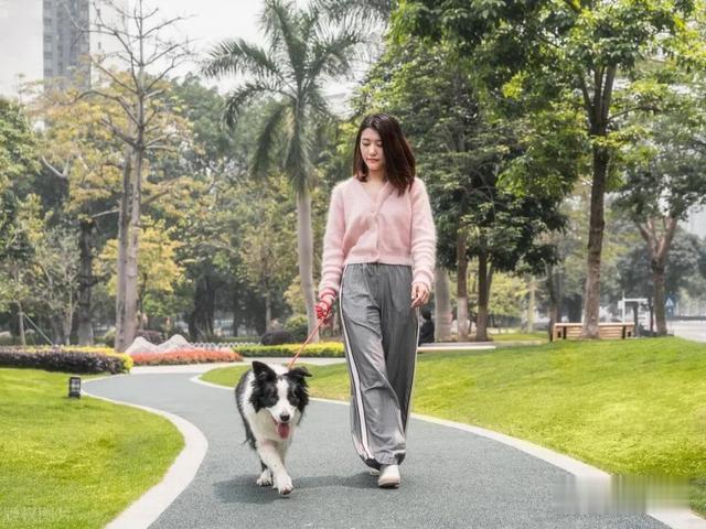 总结六条减脂干货，让你掉秤20斤 ！