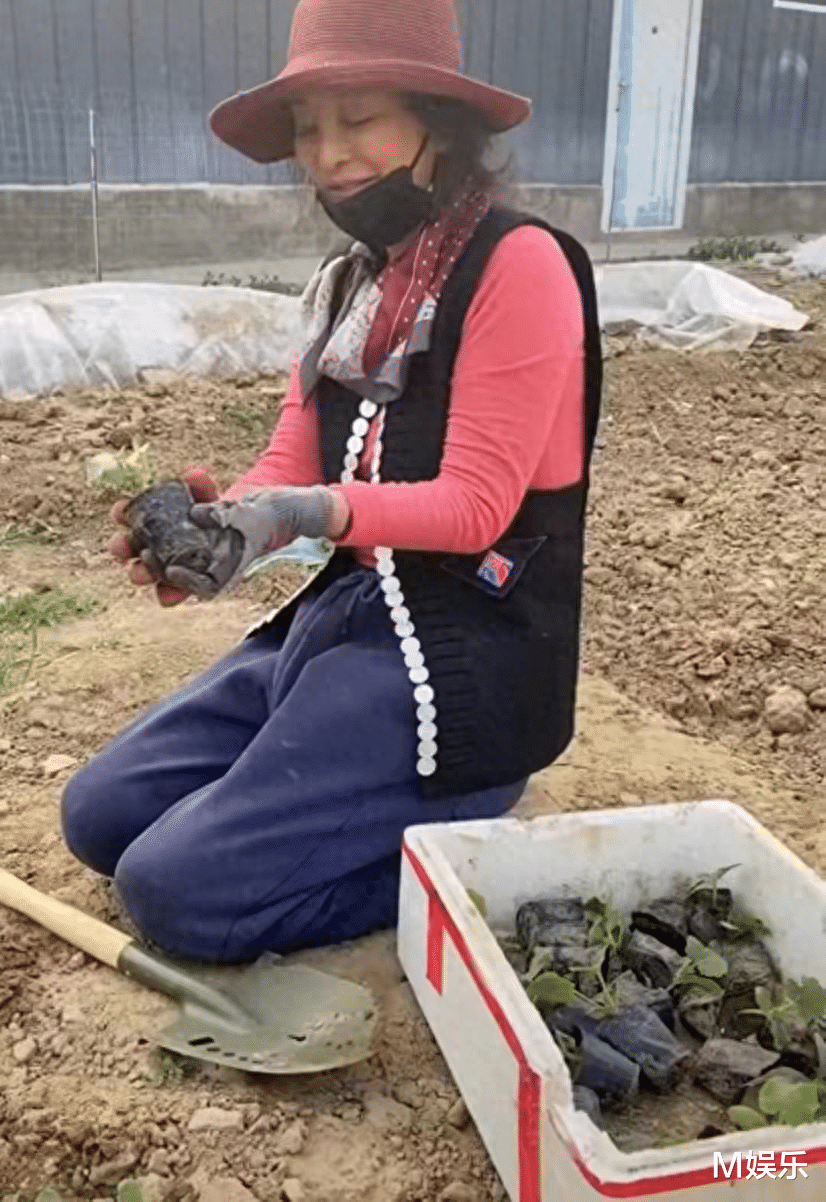 一嫁日本、二嫁美国, 三嫁法国, 演员李勤勤为啥只嫁外国老公?