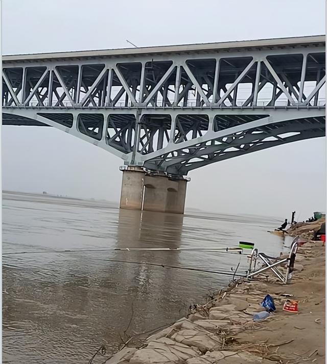 |野钓黄河鲤鱼，野钓界的天花板，黄河鲤鱼劲真大
