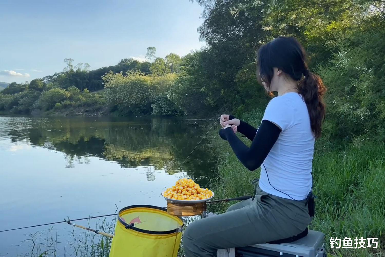|为什么用玉米野钓鲤鱼没有效果?详解野钓鲤鱼用饵