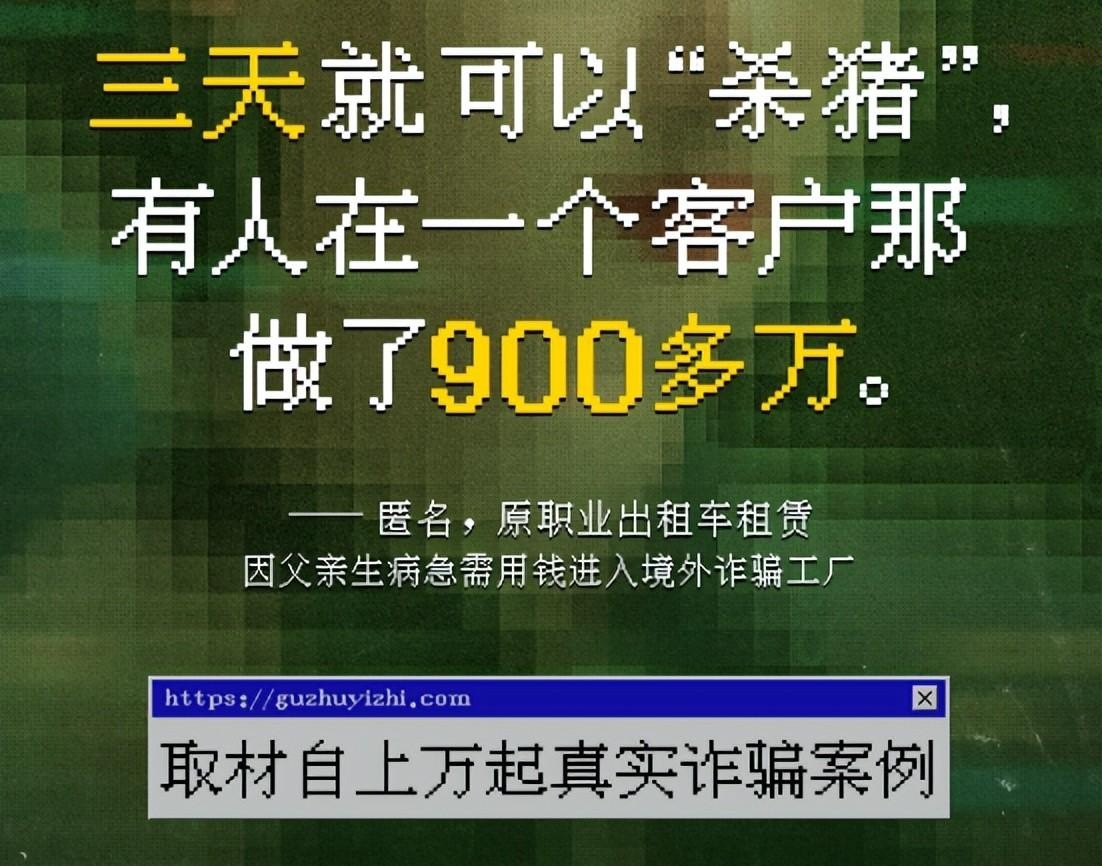 冲着张艺兴看《孤注一掷》,却被金晨跪王传君裤裆的演技惊艳到了