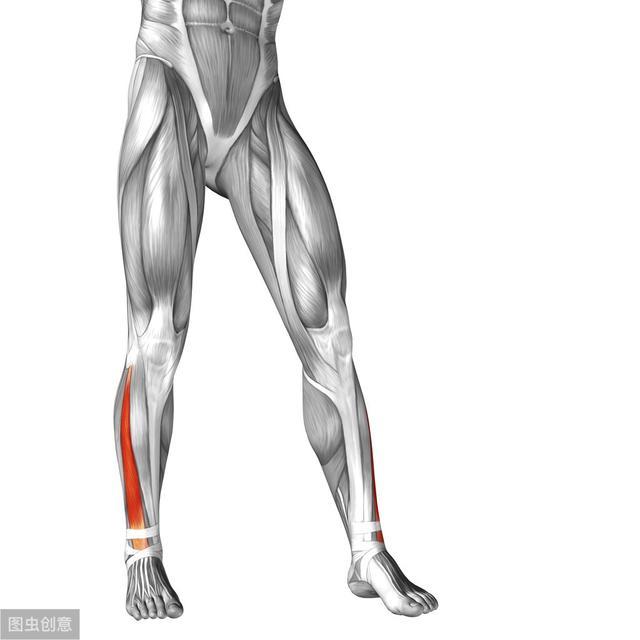 处方|气郁体质怎么办?中医:一年4季,7个简单方法助你身体健康