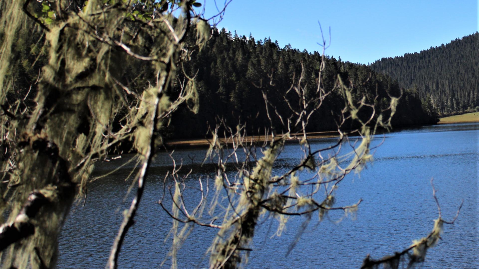 宁波|职场太多不确定？与之共舞