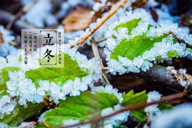 立冬|立冬不补，寒冬受苦，明日立冬，记得吃“冬4宝”，打好身体基础