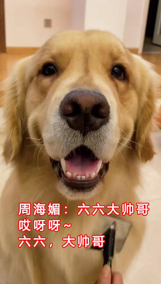 周海媚去世第4天,保姆晒其生前视频缅怀,一举动惹网友质疑