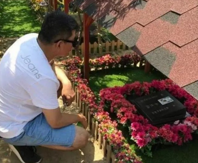 著名演员孙淳：照顾病妻36年，一生丁克，花60万克隆已逝爱犬