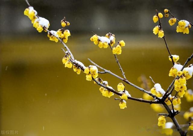 海绵体要想振奋，补阳是下策，通阳才是上策，这个逻辑正确吗？