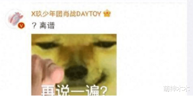 内娱明星尴尬追星史：白鹿太爱鹿晗为其改名，张碧晨追星张艺兴