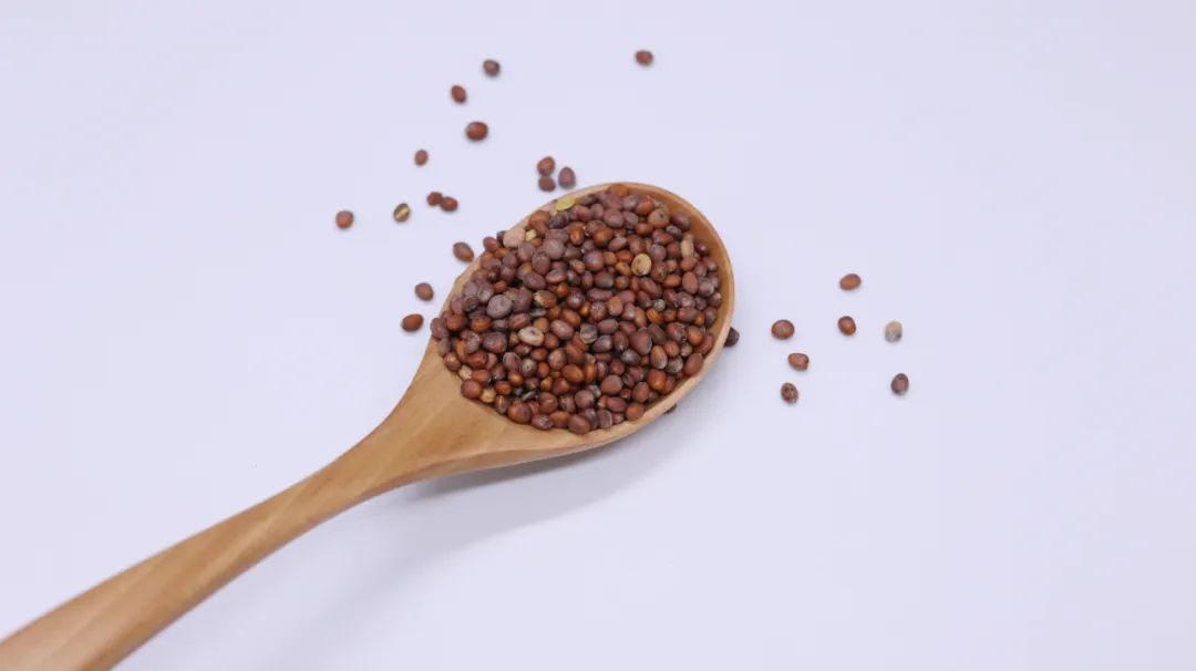 麦芽|肚子胀、不消化、“一切食积”，一个奇妙的方剂，守护脾胃的健康