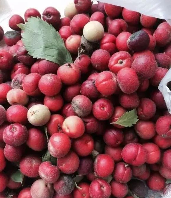 文玩|穷玩,也可以很精彩!