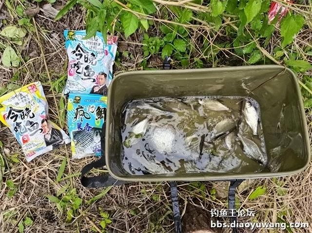 今年柳叶鳊的梗,今晚吃鱼加点果味搞定