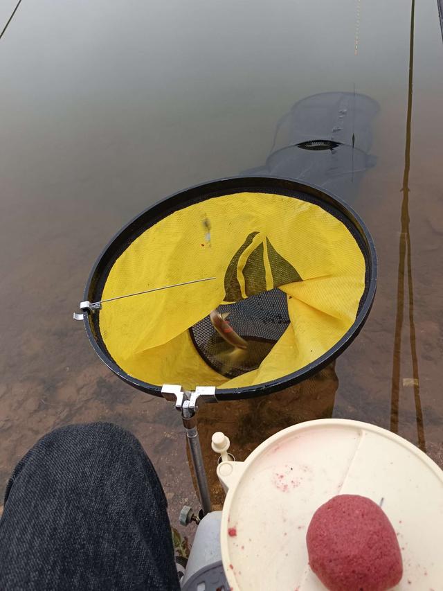 |兔年首钓开年红!痛并快乐着