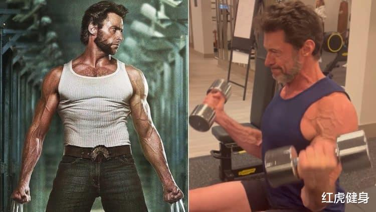 55岁的休·杰克曼在健身房挥汗如雨,粉丝:不要跳过练腿日