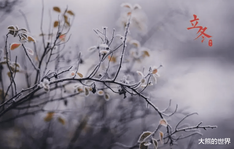 立冬|今日立冬，无论多忙，都记得吃“冬季4宝”，身强体健安稳过冬天